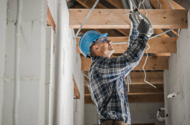 Best Ceiling Fan Installation Electrician  in Clarkston, WA